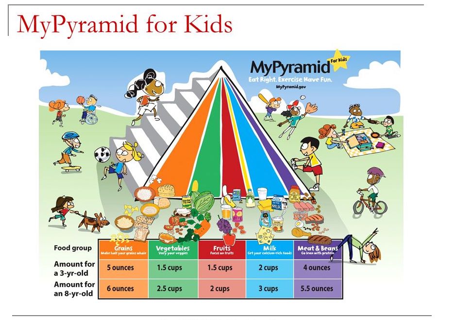 Our Food Models Brown s Preschool Fitness Family our-food-models-brown-s-preschool-fitness-family